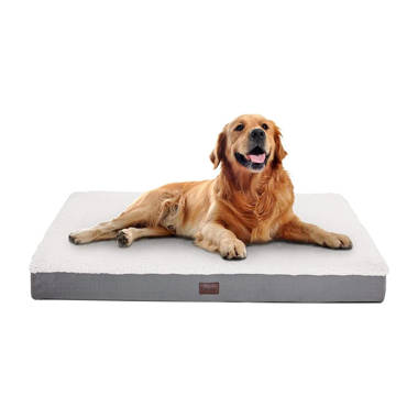 Ellie bo waterproof outlet dog bed